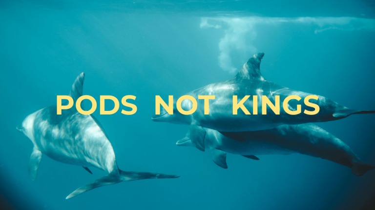 No Kings: Imagine, Plan, Build Pods